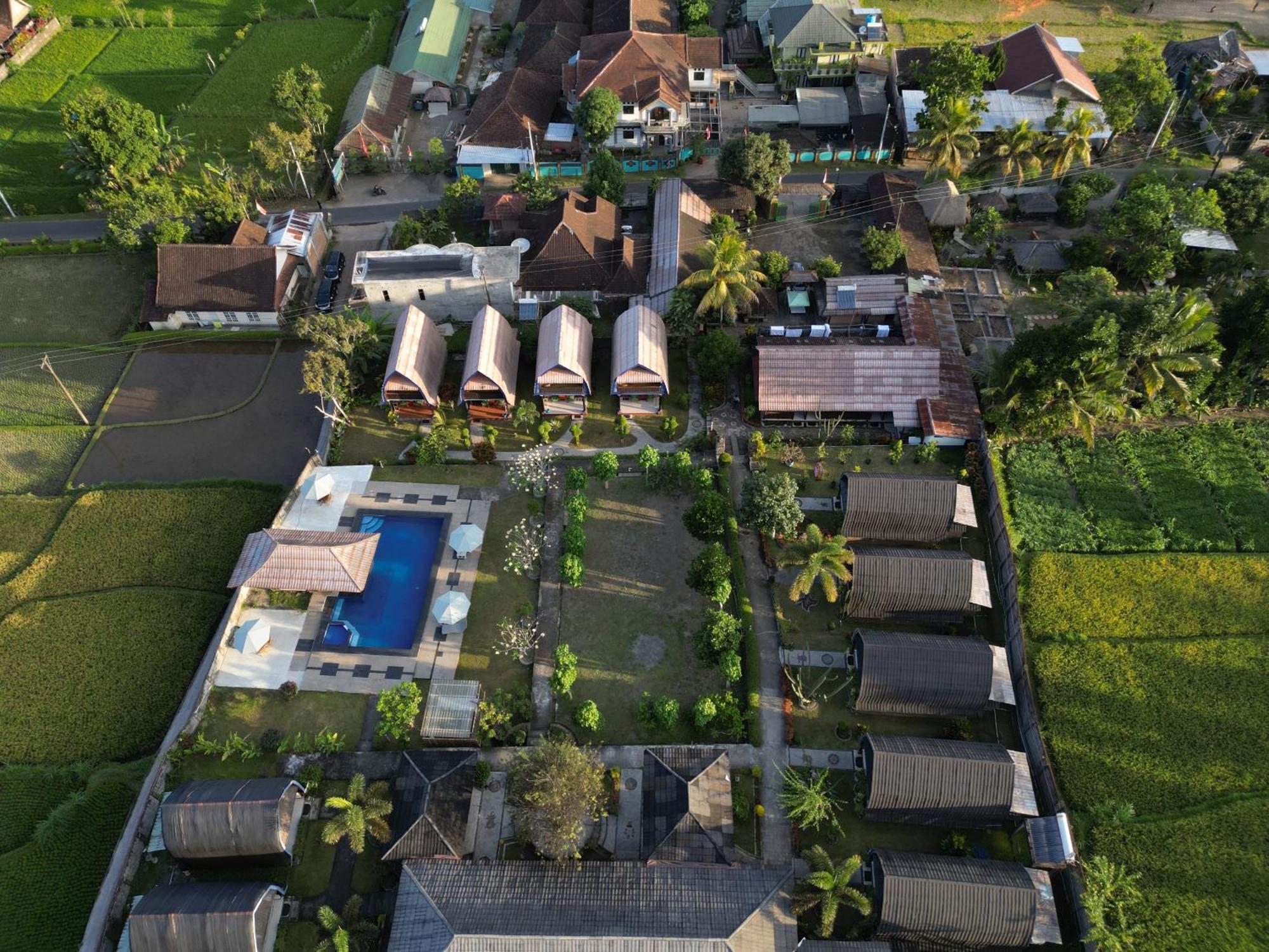 Green Orry Inn Tetebatu Esterno foto